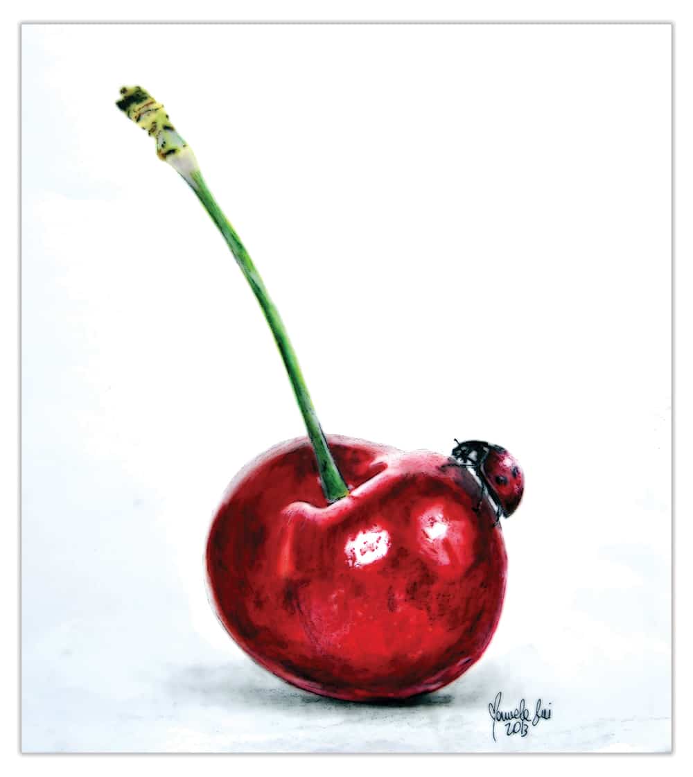 Ladybug And Cherry