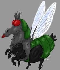 Horse Fly