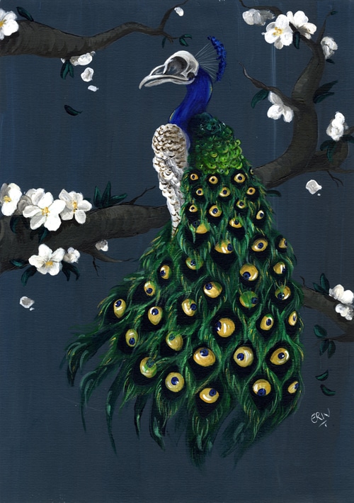 Peacock.